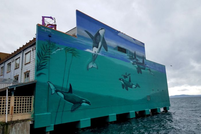 wyland mural edgewater