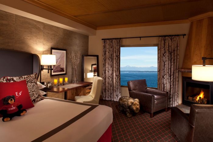 guest room edgewater