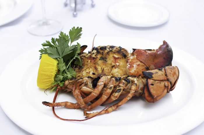 Miami's Lobster Bar Sea Grille Sets the Standard for High-End, Stylish