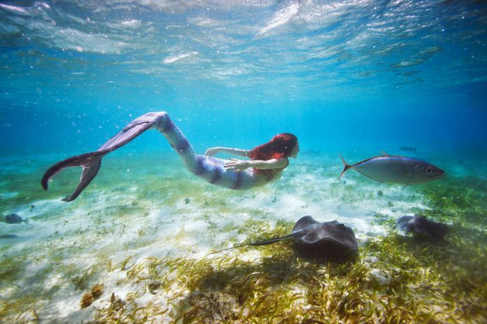 mermaid retreat