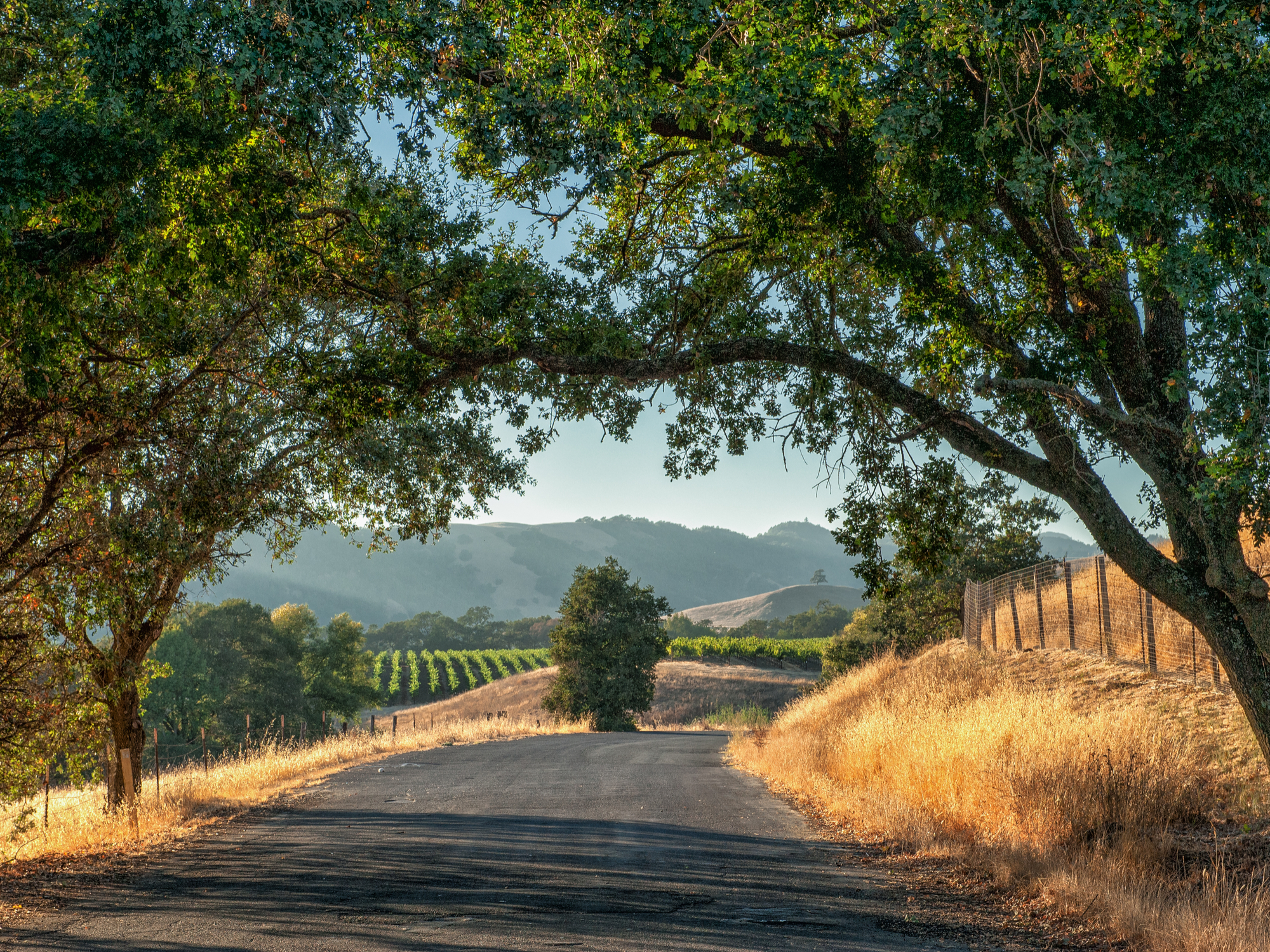 Sonoma