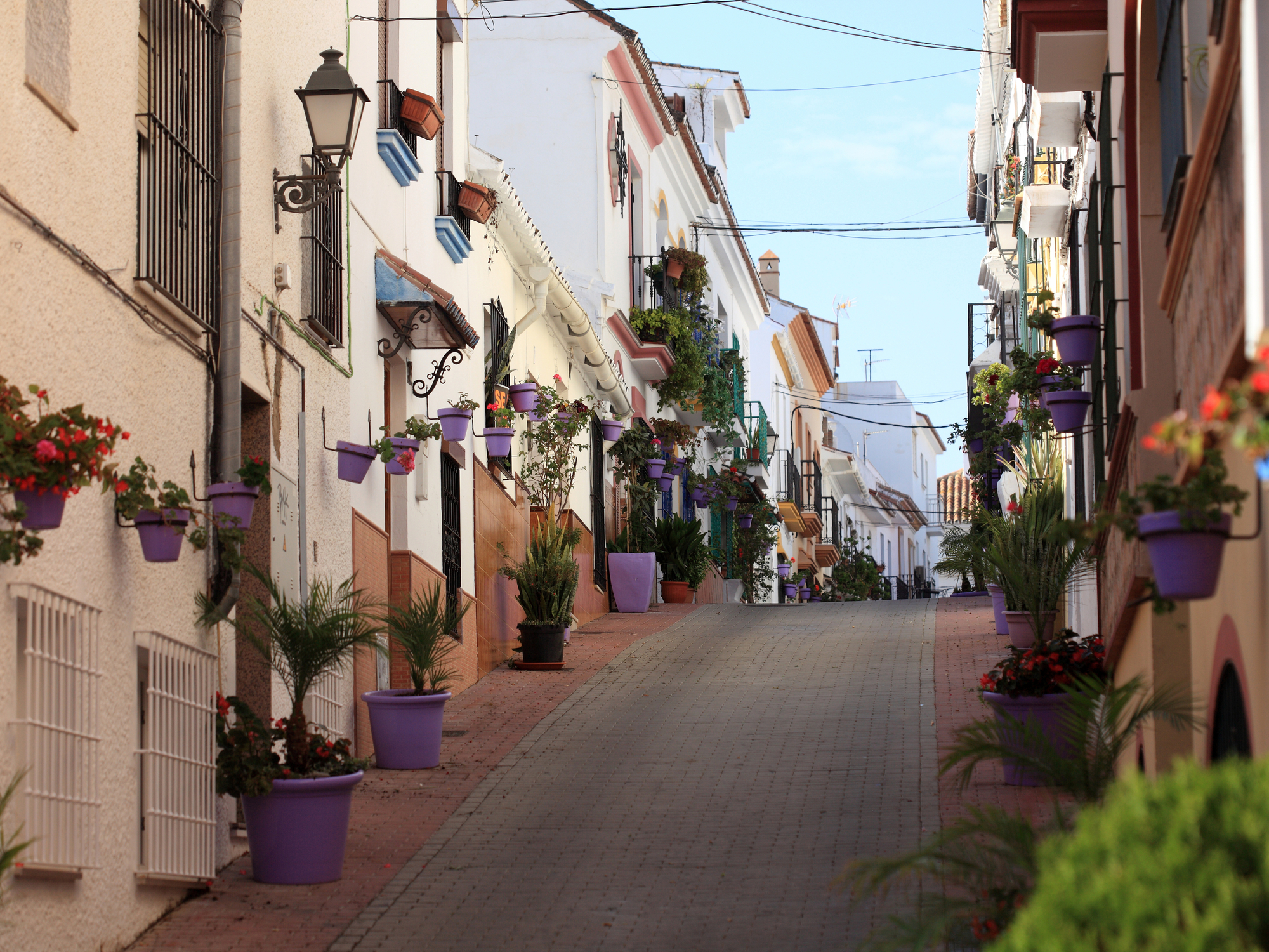 Celebrate the Majesty of Spanish Food and Wine in Estepona