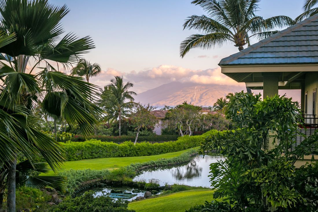 hotel wailea