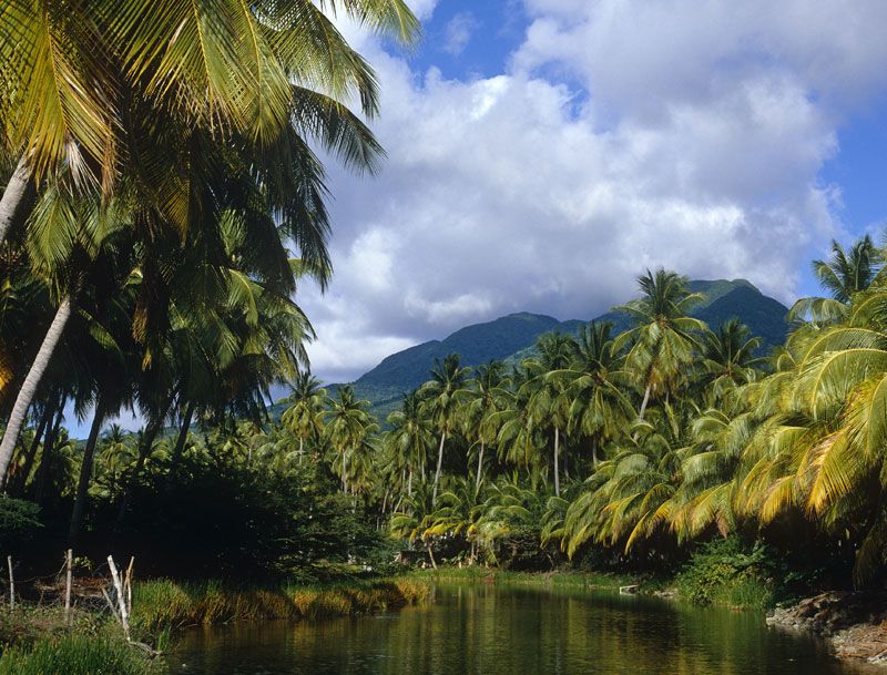 best things to do on Nevis Island