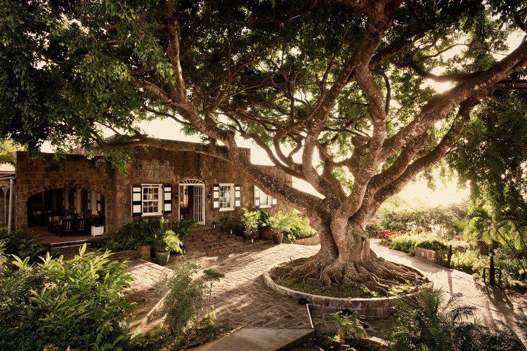The front of Montpelier Plantation